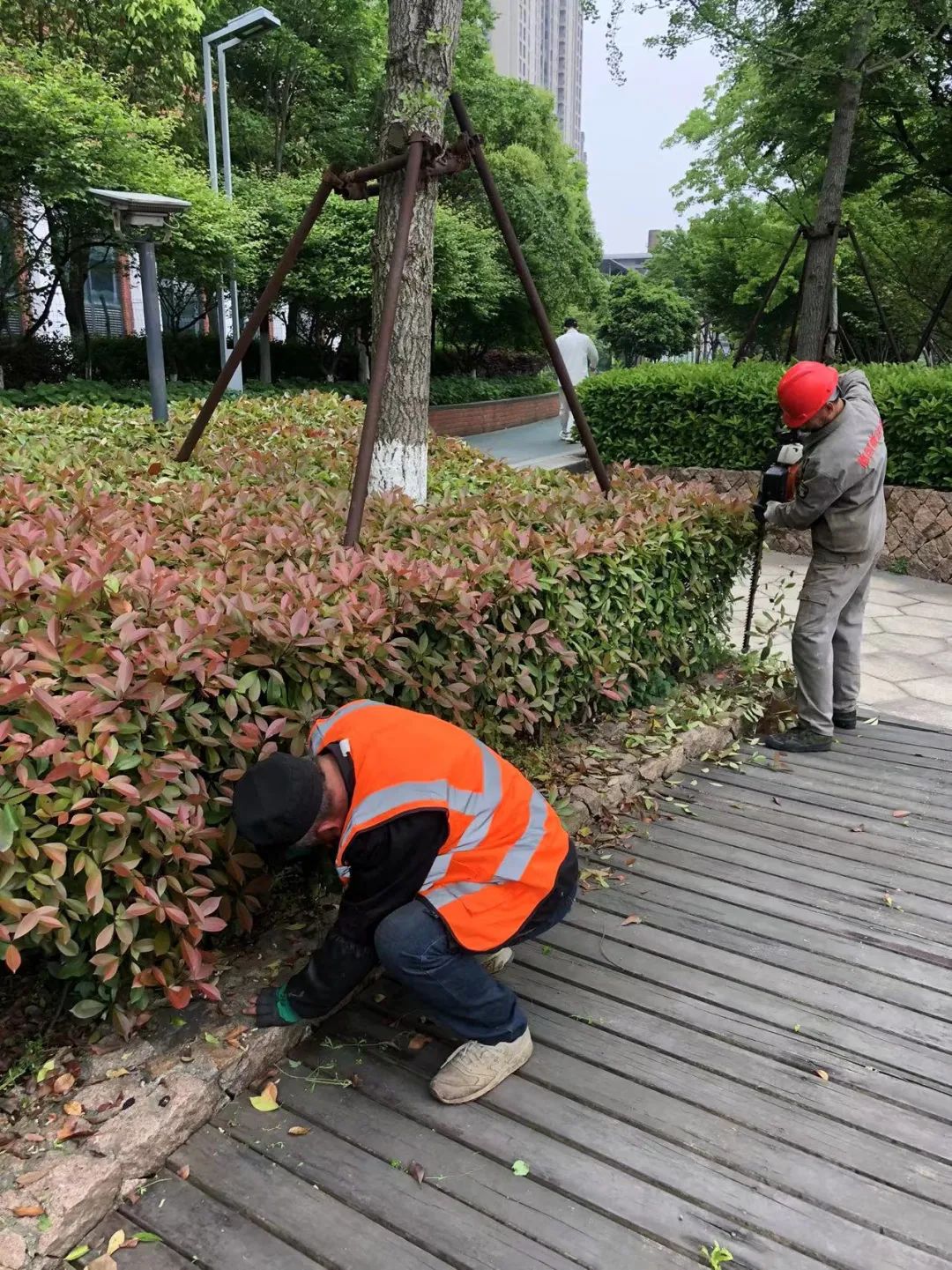 202307063574.jpg 202307063574.jpg